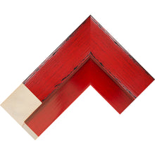 Load image into Gallery viewer, red komodo canvas picture frame