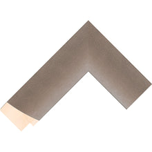 Load image into Gallery viewer, Silver spoleto contemporary wide frame