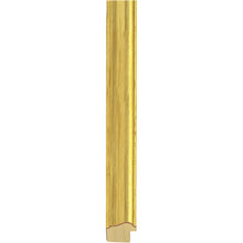 Load image into Gallery viewer, Plain gold picture frame
