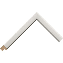 Load image into Gallery viewer, Silver brushed flat frame 19mm wide
