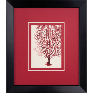 Black brushed flat box frame 31.8mm wide